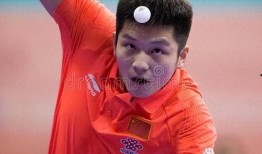 樊振东最新爆料,备战东京奥运的幕后故事与心路历程”